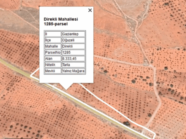 Ekran-goruntusu-2025-08-12-113507